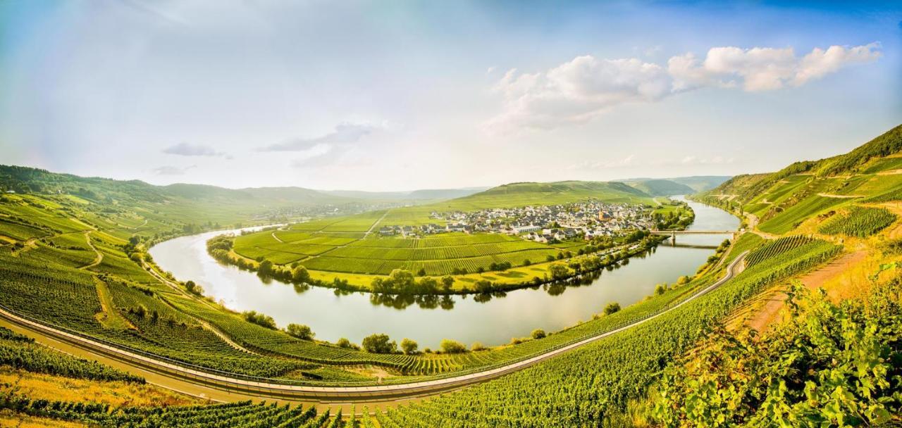 Weingut & Gaestehaus Christoph Cluesserath Trittenheim Dış mekan fotoğraf