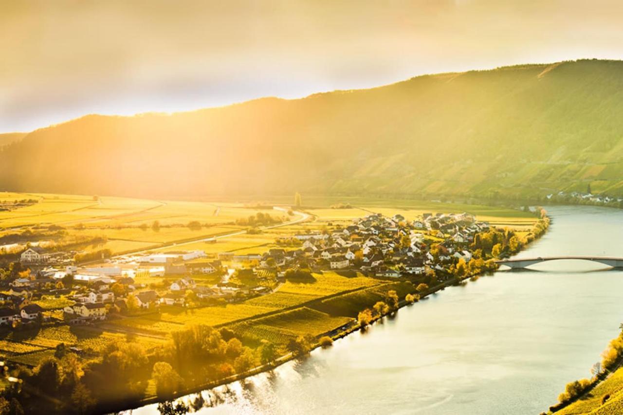 Weingut & Gaestehaus Christoph Cluesserath Trittenheim Dış mekan fotoğraf