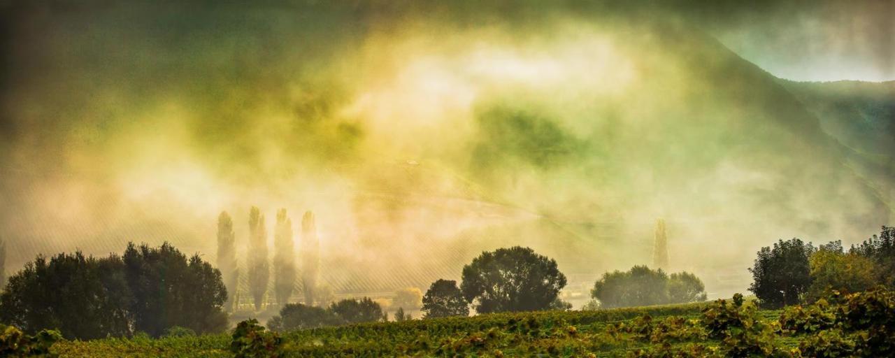 Weingut & Gaestehaus Christoph Cluesserath Trittenheim Dış mekan fotoğraf