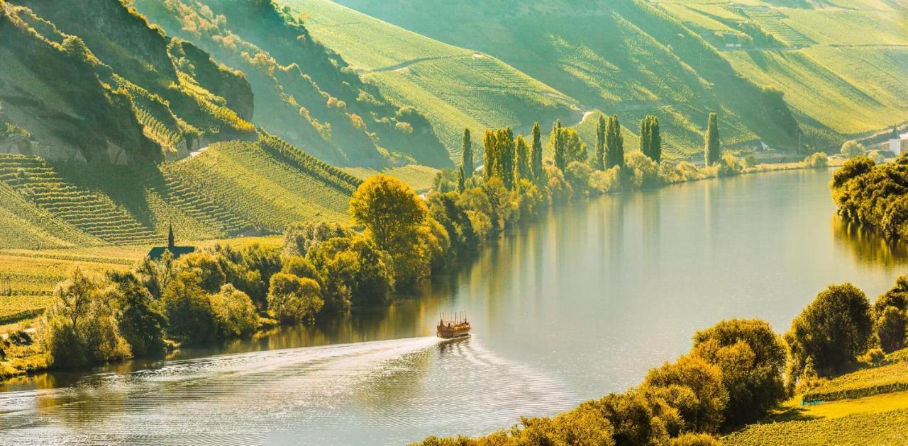 Weingut & Gaestehaus Christoph Cluesserath Trittenheim Dış mekan fotoğraf