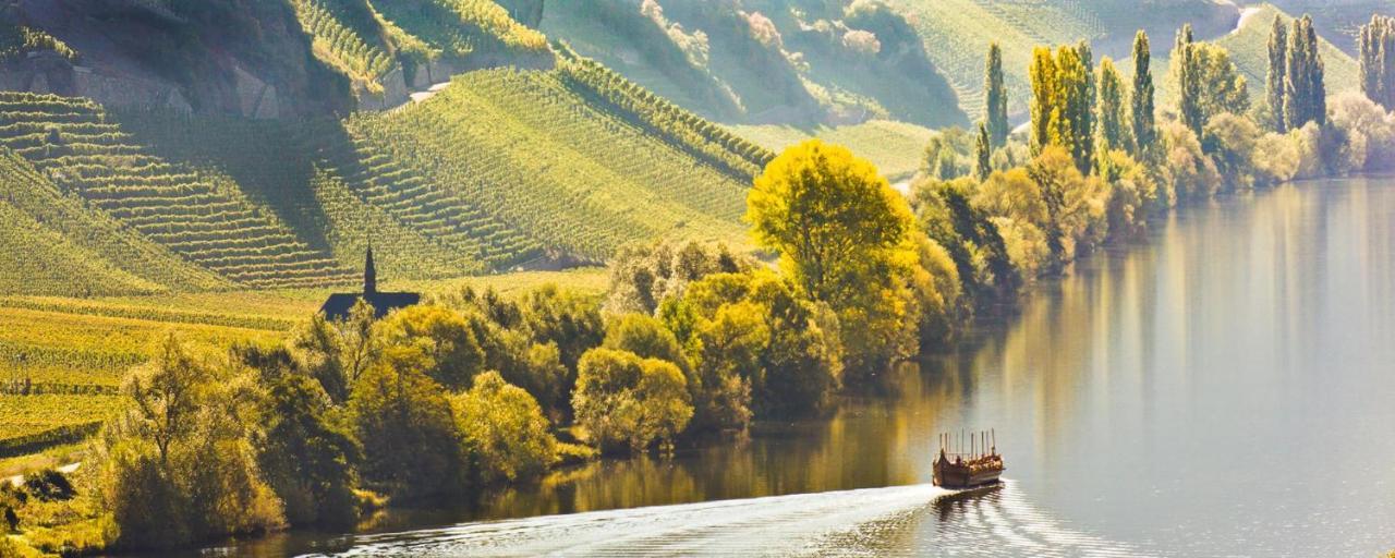 Weingut & Gaestehaus Christoph Cluesserath Trittenheim Dış mekan fotoğraf
