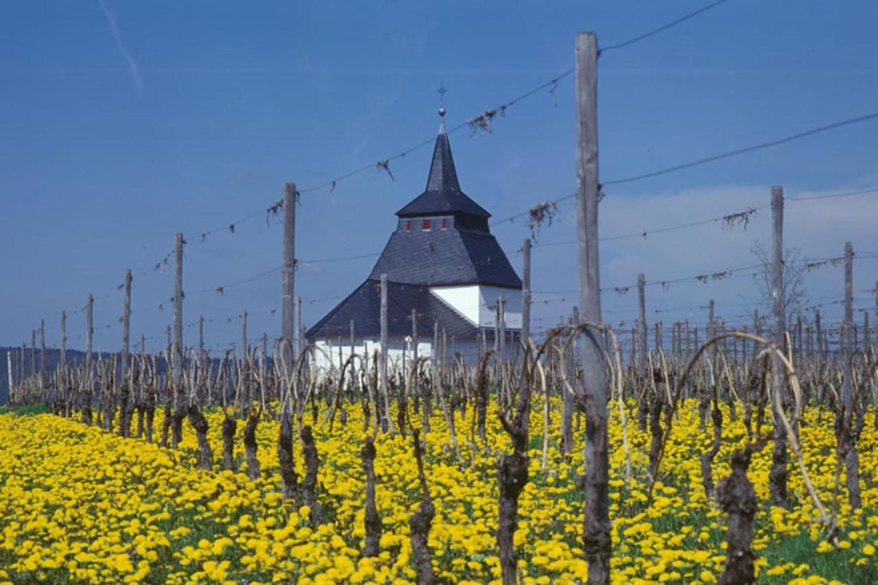 Weingut & Gaestehaus Christoph Cluesserath Trittenheim Dış mekan fotoğraf